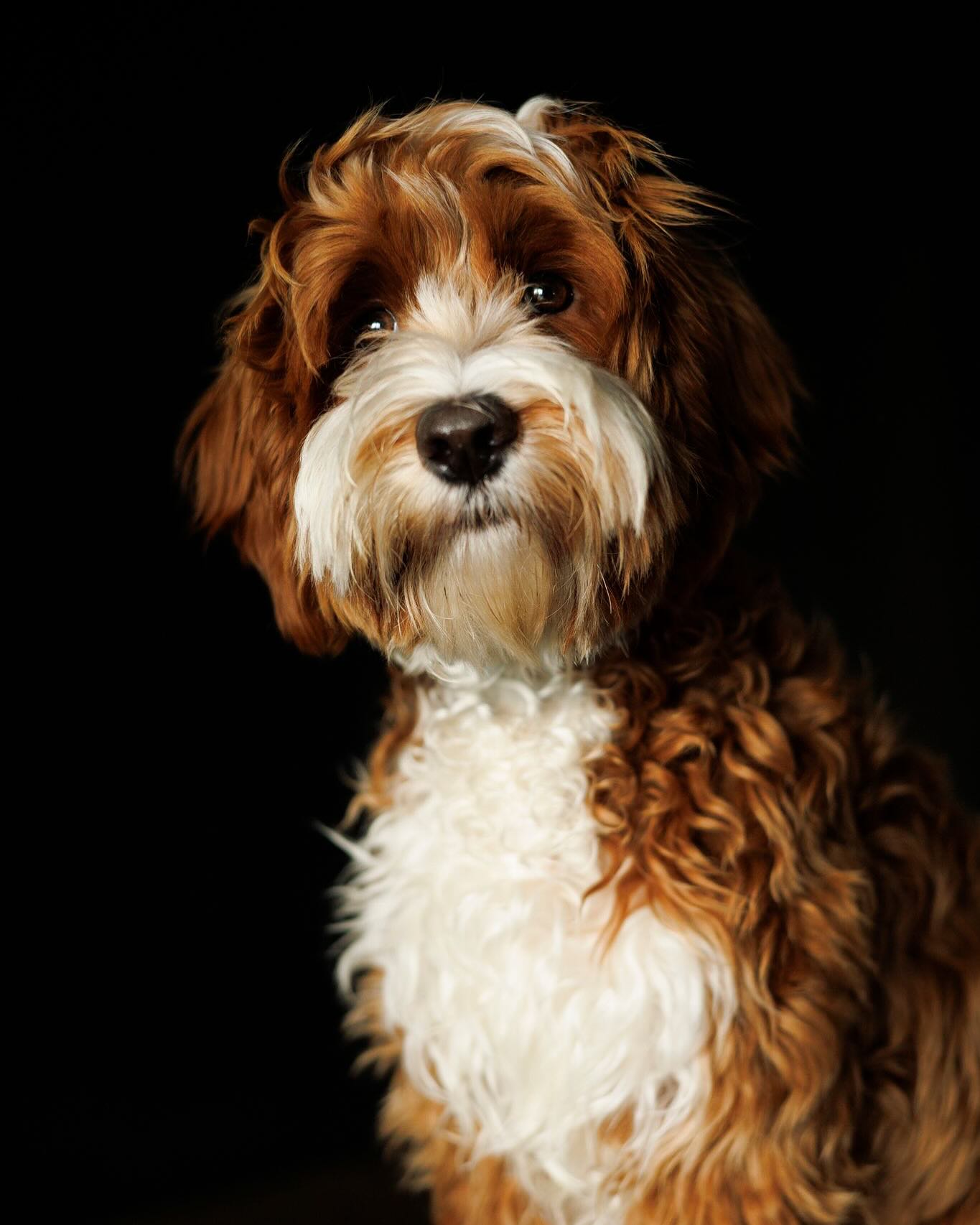 Portretfotografie -Anastasiya Photography
